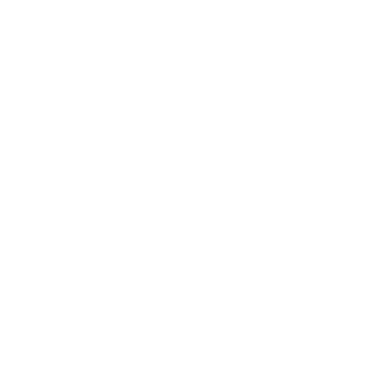 Icon-Micro
