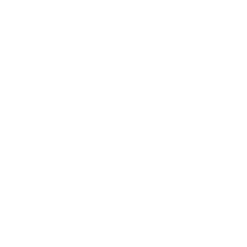 Icon-Bulb2