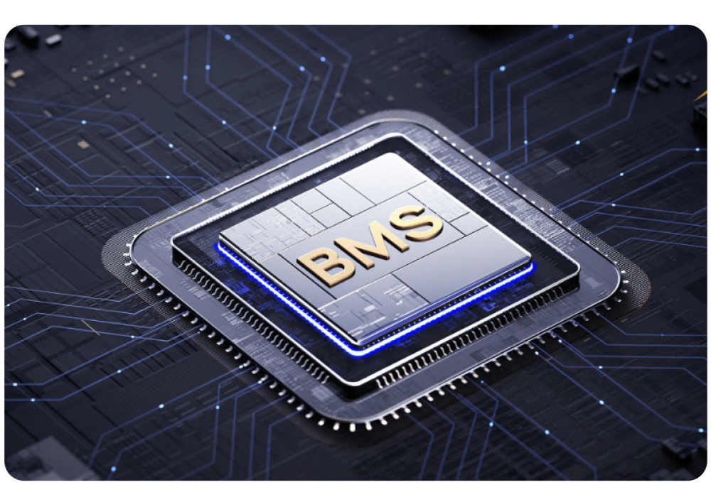 D3P-SidePics-BMS